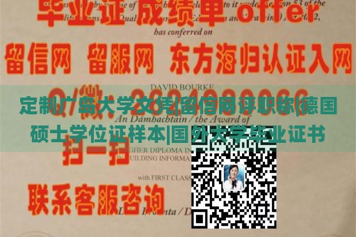 定制广岛大学文凭|留信网评职称|德国硕士学位证样本|国外大学毕业证书