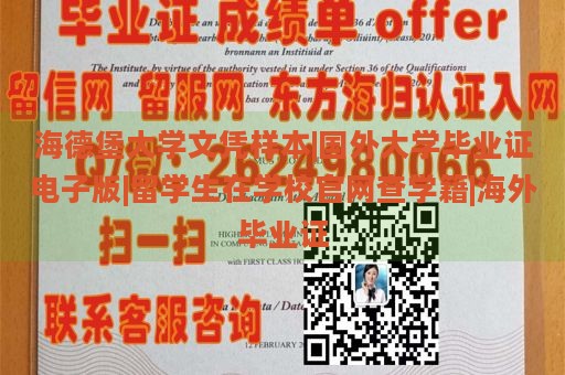 海德堡大学文凭样本|国外大学毕业证电子版|留学生在学校官网查学籍|海外毕业证