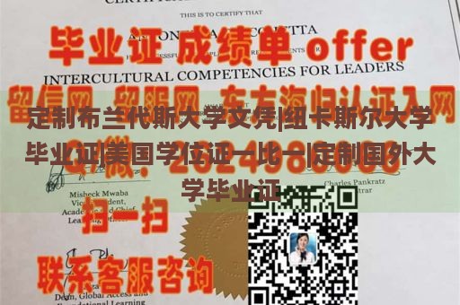 定制布兰代斯大学文凭|纽卡斯尔大学毕业证|美国学位证一比一|定制国外大学毕业证