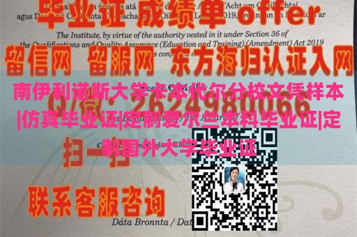 南伊利诺斯大学卡本代尔分校文凭样本|仿真毕业证|定制爱尔兰本科毕业证|定制国外大学毕业证