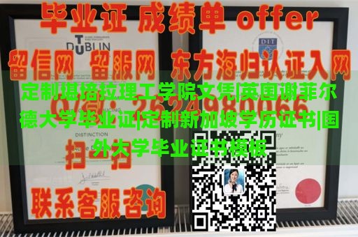 定制堪培拉理工学院文凭|英国谢菲尔德大学毕业证|定制新加坡学历证书|国外大学毕业证书模板