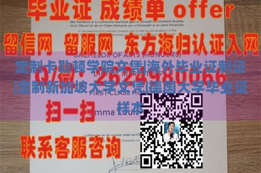 定制卡勒顿学院文凭|海外毕业证制证|定制新加坡大学文凭|德国大学毕业证样本