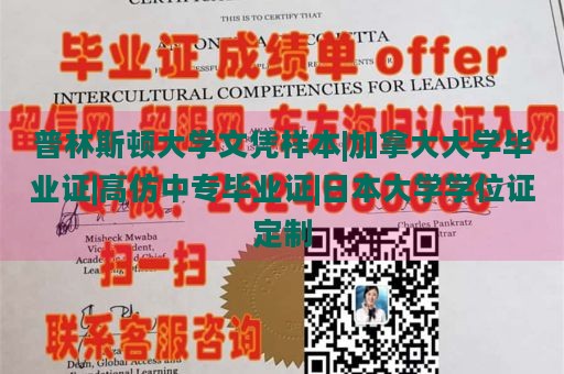 普林斯顿大学文凭样本|加拿大大学毕业证|高仿中专毕业证|日本大学学位证定制