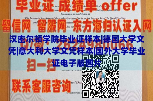 汉密尔顿学院毕业证样本|德国大学文凭|意大利大学文凭样本|国外大学毕业证电子版图片