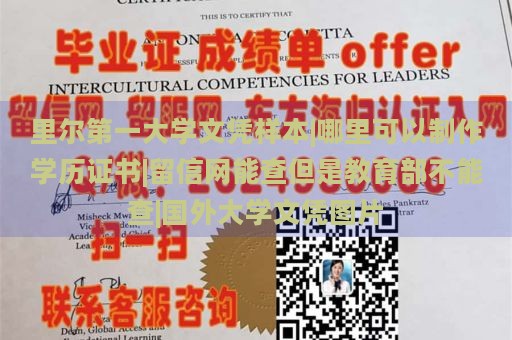 里尔第一大学文凭样本|哪里可以制作学历证书|留信网能查但是教育部不能查|国外大学文凭图片