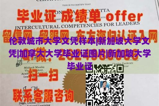 伦敦城市大学文凭样本|新加坡大学文凭|加拿大大学毕业证图片|新加坡大学毕业证