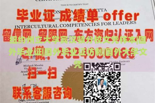 纽约州立大学宾汉顿分校文凭样本|国外毕业证|国外毕业证仿制|国外大学文凭