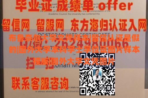 布鲁奈尔大学文凭样本|留信认证是假的|国外大学本科学士学位证图片样本模版|国外大学文凭图片