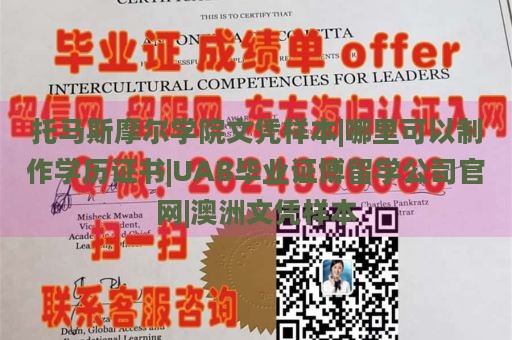 托马斯摩尔学院文凭样本|哪里可以制作学历证书|UAB毕业证博留学公司官网|澳洲文凭样本