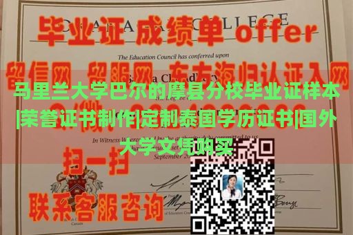 马里兰大学巴尔的摩县分校毕业证样本|荣誉证书制作|定制泰国学历证书|国外大学文凭购买