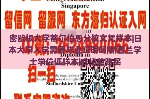 密歇根大学蒂尔伯恩分校文凭样本|日本大学入学需要毕业证明吗|新西兰学士学位证样本|成绩单购买