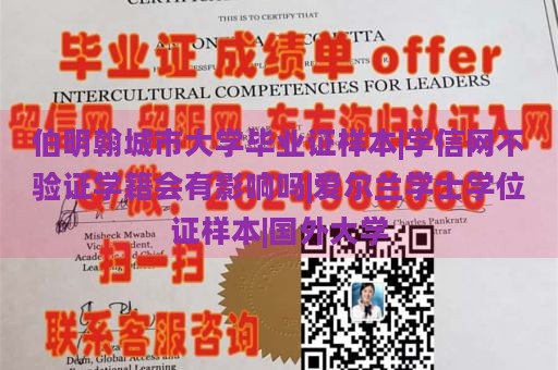 伯明翰城市大学毕业证样本|学信网不验证学籍会有影响吗|爱尔兰学士学位证样本|国外大学