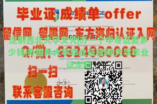 定制西北大学文凭|办一个中专证要多少钱|办国外大学毕业证官网|大学毕业证定制