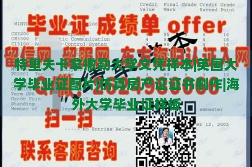 特里夫卡拿撒勒大学文凭样本|英国大学毕业证图片|仿真房产证证书制作|海外大学毕业证样板