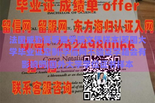 法国威勒高等商学院文凭样本|英国大学毕业证定制|学信网不验证学籍会有影响吗|国外大学学位证书样本