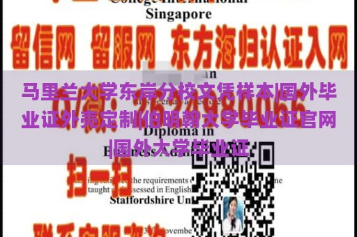 马里兰大学东岸分校文凭样本|国外毕业证外壳定制|伯明翰大学毕业证官网|国外大学毕业证