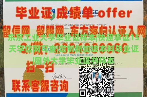 东京工业大学毕业证样本|快速拿证15天学信网可查|定制新加坡本科毕业证|国外大学毕业证书样本