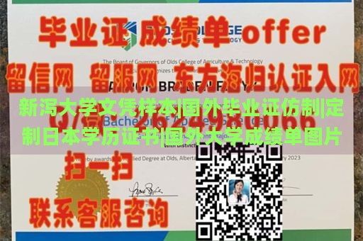 新泻大学文凭样本|国外毕业证仿制|定制日本学历证书|国外大学成绩单图片