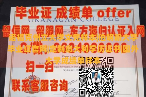 诺福克州立大学文凭样本|伯明翰大学毕业证官网|定制意大利学历证书|国外大学成绩单样本