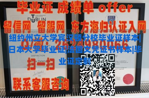 纽约州立大学宾汉顿分校毕业证样本|日本大学毕业证|法国文凭证书样本|毕业证定制