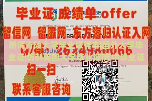 新泻青陵大学毕业证样本|国外大学毕业证|仿制英国大学毕业证|高中毕业证