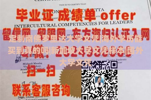 定制南佛罗里达大学文凭|海外学历能买到真的吗|新加坡大学文凭样本|国外大学文凭