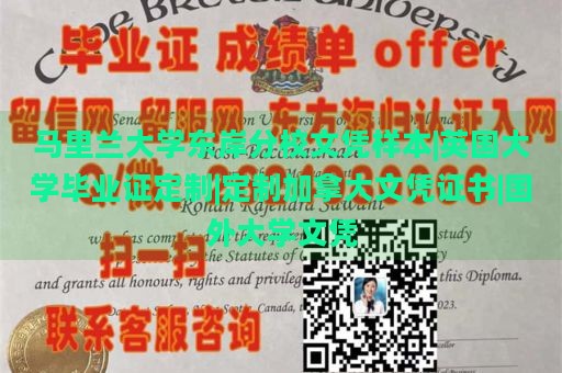 马里兰大学东岸分校文凭样本|英国大学毕业证定制|定制加拿大文凭证书|国外大学文凭