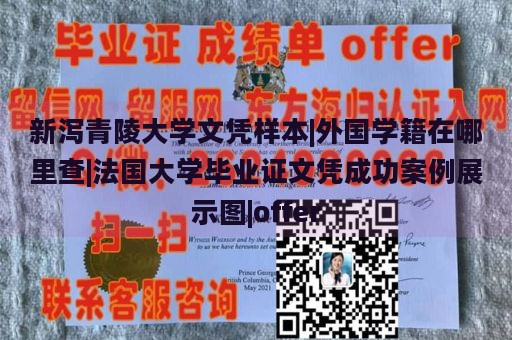 新泻青陵大学文凭样本|外国学籍在哪里查|法国大学毕业证文凭成功案例展示图|offer