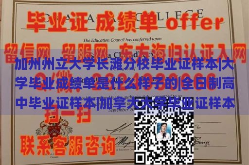 加州州立大学长滩分校毕业证样本|大学毕业成绩单是什么样子的|全日制高中毕业证样本|加拿大大学毕业证样本