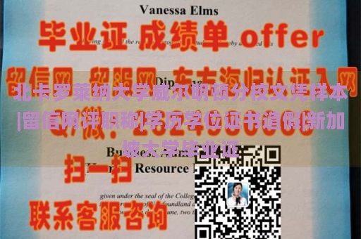 北卡罗莱纳大学威尔明顿分校文凭样本|留信网评职称|学历学位证书造假|新加坡大学毕业证