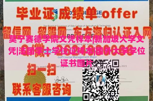 莫宁赛德学院文凭样本|新加坡大学文凭|法国学士学位证样本|国外大学学位证书图片