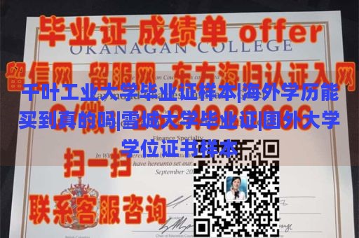 千叶工业大学毕业证样本|海外学历能买到真的吗|雪城大学毕业证|国外大学学位证书样本