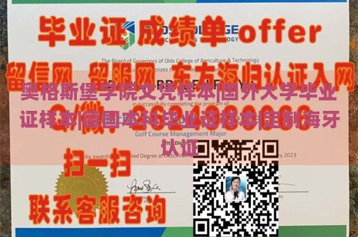 奥格斯堡学院文凭样本|国外大学毕业证样本|德国本科毕业证样本|定制海牙认证