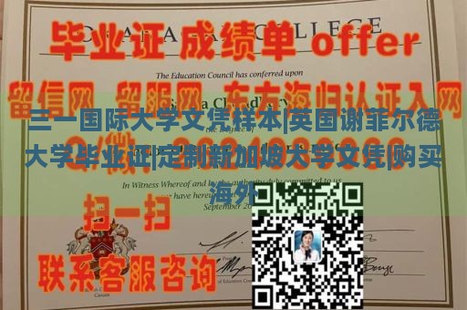 三一国际大学文凭样本|英国谢菲尔德大学毕业证|定制新加坡大学文凭|购买海外