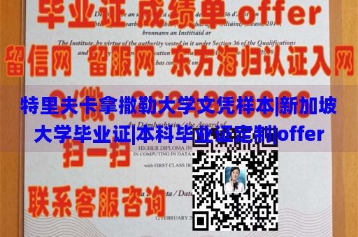 特里夫卡拿撒勒大学文凭样本|新加坡大学毕业证|本科毕业证定制|offer