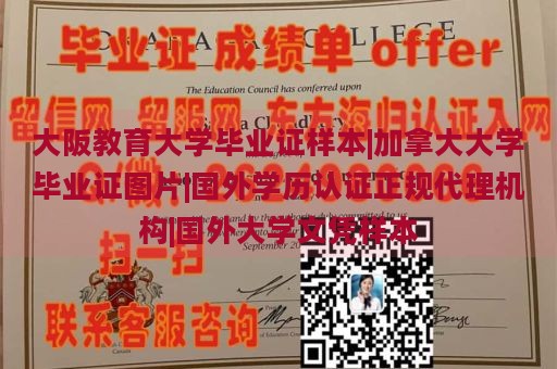 大阪教育大学毕业证样本|加拿大大学毕业证图片|国外学历认证正规代理机构|国外大学文凭样本