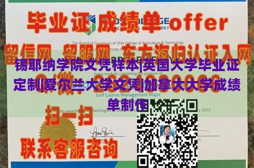 锡耶纳学院文凭样本|英国大学毕业证定制|爱尔兰大学文凭|加拿大大学成绩单制作