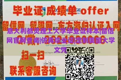 意大利都灵理工大学毕业证样本|留信网官网查询|仿真毕业证|定制美国大学文凭