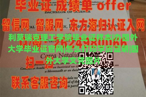 利莫瑞克理工学院毕业证样本|办国外大学毕业证官网|怎么打印学历证明|国外大学文凭图片