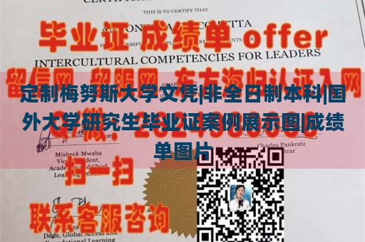 定制梅努斯大学文凭|非全日制本科|国外大学研究生毕业证案例展示图|成绩单图片