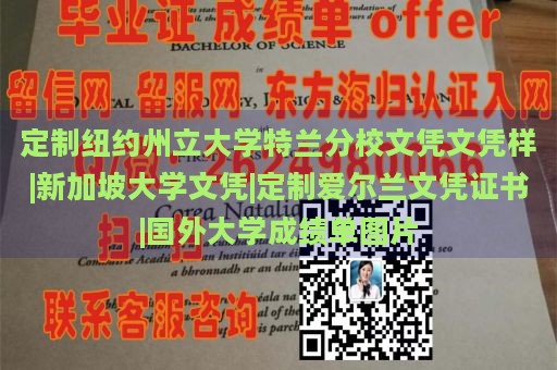 定制纽约州立大学特兰分校文凭文凭样|新加坡大学文凭|定制爱尔兰文凭证书|国外大学成绩单图片