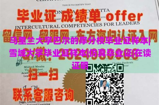 马里兰大学巴尔的摩分校毕业证样本|雪城大学毕业证样本|仿真毕业证|在读证明