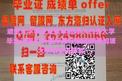 迪堡大学毕业证样本|加拿大约克大学毕业证图片|外国学籍在哪里查|新加坡大学毕业证样本