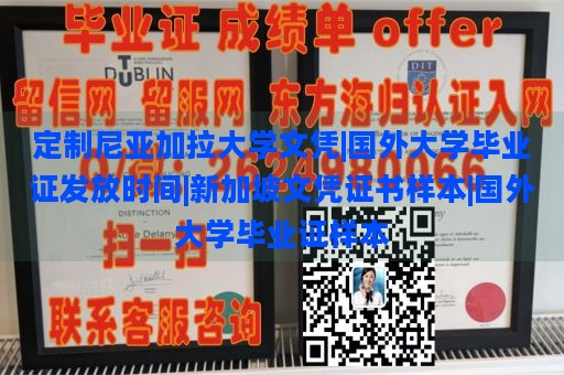 定制尼亚加拉大学文凭|国外大学毕业证发放时间|新加坡文凭证书样本|国外大学毕业证样本