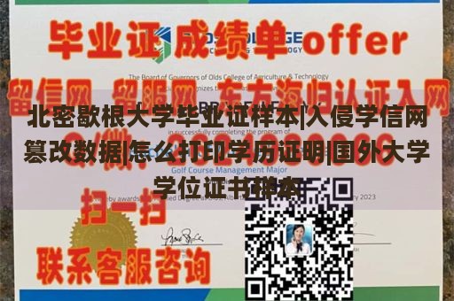 北密歇根大学毕业证样本|入侵学信网篡改数据|怎么打印学历证明|国外大学学位证书样本