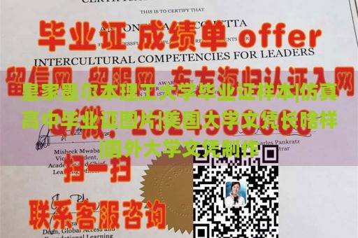 皇家墨尔本理工大学毕业证样本|仿真高中毕业证图片|美国大学文凭长啥样|国外大学文凭制作