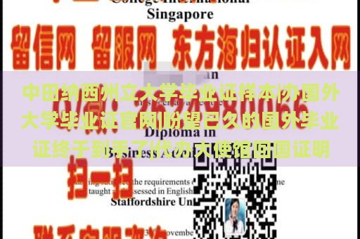 中田纳西州立大学毕业证样本|办国外大学毕业证官网|盼望已久的国外毕业证终于到手了|代办大使馆回国证明