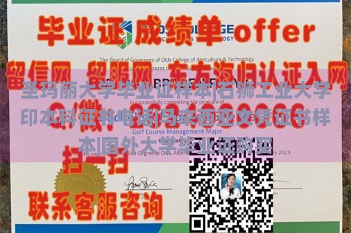 圣玛丽大学毕业证样本|石狮工业大学印本科证书电话|马来西亚文凭证书样本|国外大学毕业证购买