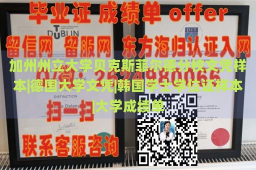 加州州立大学贝克斯菲尔德分校文凭样本|德国大学文凭|韩国学士学位证样本|大学成绩单