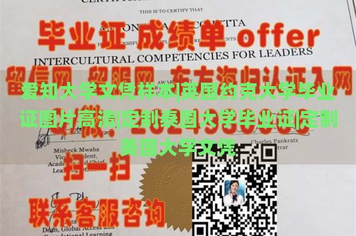 爱知大学文凭样本|英国约克大学毕业证图片高清|定制泰国大学毕业证|定制美国大学文凭